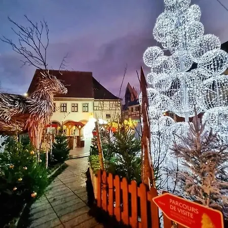 Apartment Le Petit Bali Selestat