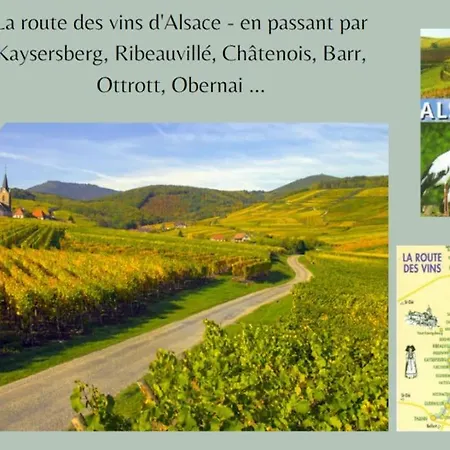 Le Petit Bali Appartement *